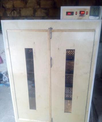 isdenilen yumurta sayına görə inkubatorlar yiqilir tam aftamat və zəma