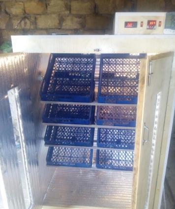 isdenilen yumurta sayına görə inkubatorlar yiqilir tam aftamat və zəma