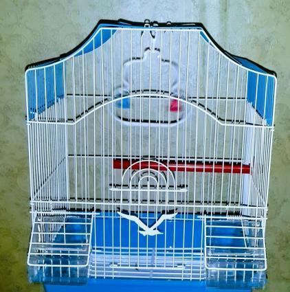 Teze qefes satilir. Su qabi ,yem qabi,  papuqay durmasi ucun cubuq ve