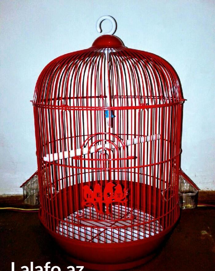 Teze iri qefes satilir coxxxx urek acan rengi var.  su qabisi ,yem qab