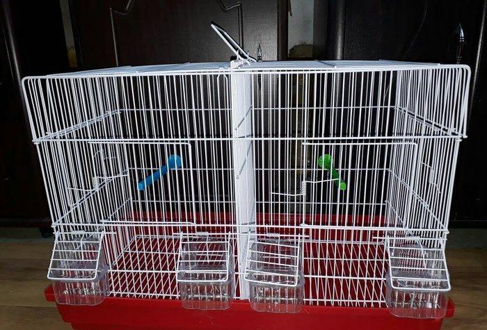 Quslarcun ortadan iki hisseye bolunen ayri ayriliqda her terefin oz qa