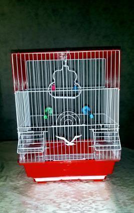 Teze qefes satilir. Su qabi ,yem qabi,  papuqay durmasi ucun cubuq ve