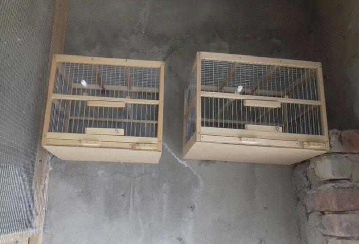 Hamya  Salam  Qəfəs biri 12 manat ikisini  ğöturən olsa  edirim  edərə