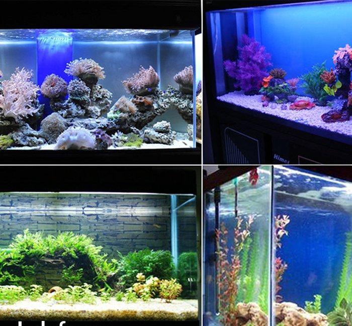 Ag və göy rəngdə ikisi birlikdə yanan led lampalar. Led 50sm 18azn