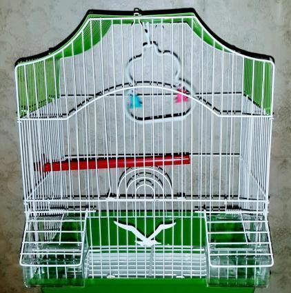 Iri qefes satilir. Su qabi , yem qabi,   papuqay  durmasi ucun cubuq v