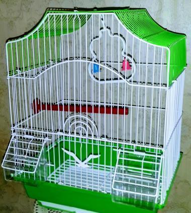 Iri qefes satilir. Su qabi , yem qabi,   papuqay  durmasi ucun cubuq v