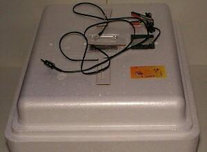 Rusiya inkubator her sey avtomatik. Zavod malidi. Teze inkubator nesus