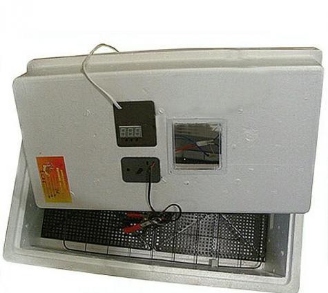 Rusiya inkubator her sey avtomatik. Zavod malidi. Teze inkubator nesus