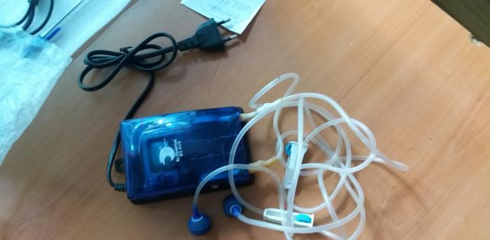 Təzə vəzıyyədə daşları təzədir slaqları köhə hər ayın 7 bən 21 qədər