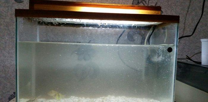 Akvarium  mator, icinin dasi ,isiq  eni21sm  hundurluyu 29 uzunlugu 44