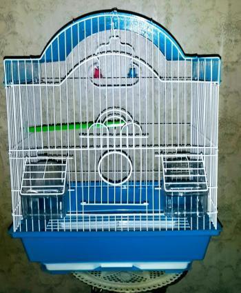 Iri qefes satilir. Su qabi , yem qabi,   papuqay  durmasi ucun cubuq v