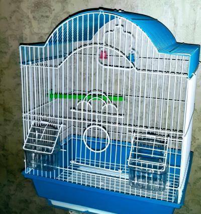 Iri qefes satilir. Su qabi , yem qabi,   papuqay  durmasi ucun cubuq v