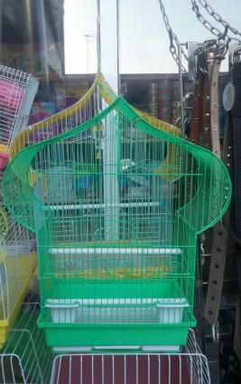 Iri qefes satilir. Su qabi , yem qabi,   papuqay  durmasi ucun cubuq v