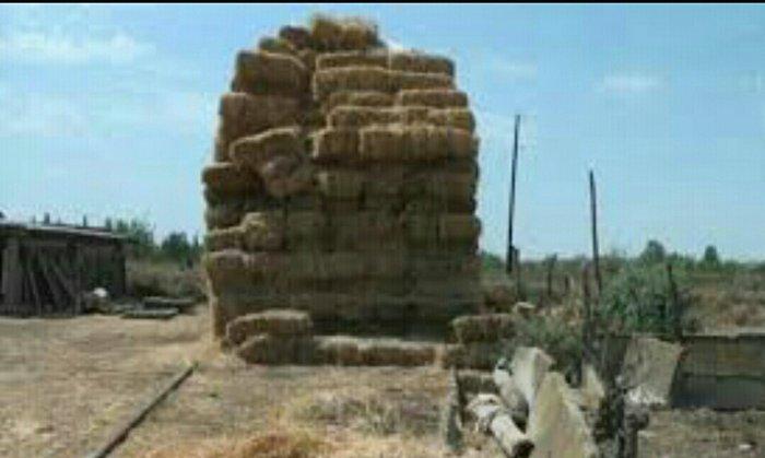 800 yonca presi hamsini alana 4m yarisi 4.3
200 alana 4.5 Nosundan kec