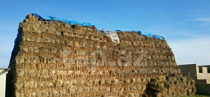 800 yonca presi hamsini alana 4m yarisi 4.3
200 alana 4.5 Nosundan kec