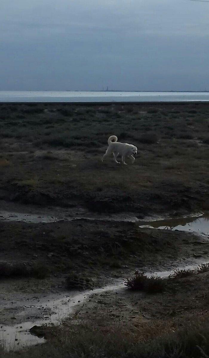 Salam Temiz Natura Aģ Alabay Balası Satiram Wekil realdi maraqlanan we