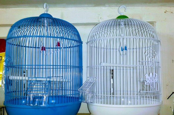 Teze boyuk qefes satilir goy qirmizi ve ag rengleri var her bir aksesu