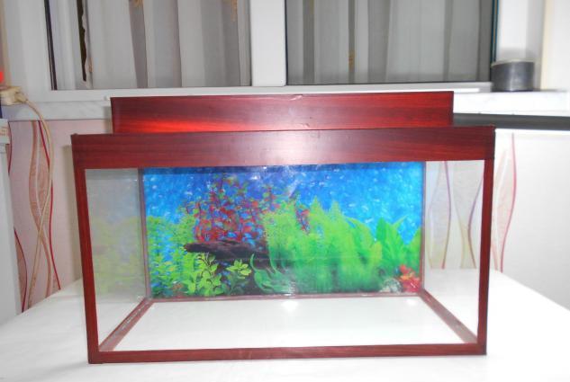 Teze akvarium  uzunu  50 sm hundurluyu qapaqla 39sm eni 20 sm