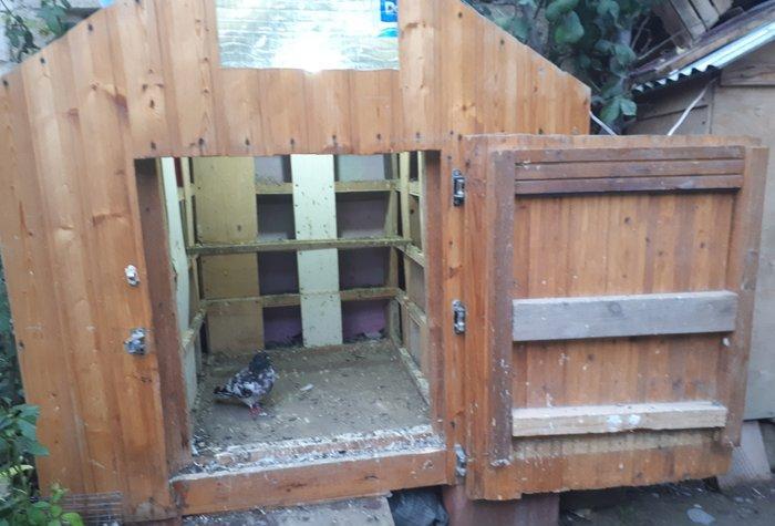 Quşxana satılır. 120 eni 120 uzunu. 1 metr hündürlük. 32 xanəsi var.