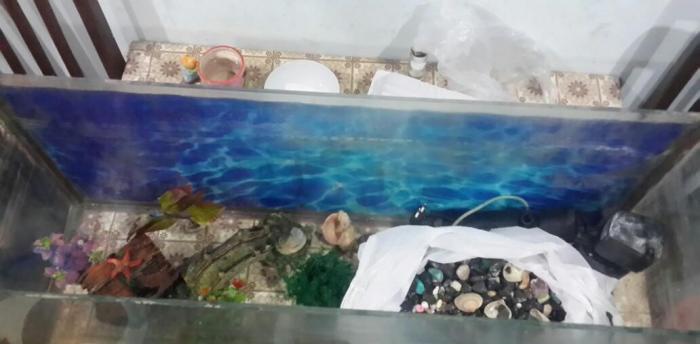 Akvarium 85sm eni 26sm. Icindeki aksesuarlar var. Hava temizliyen ve d