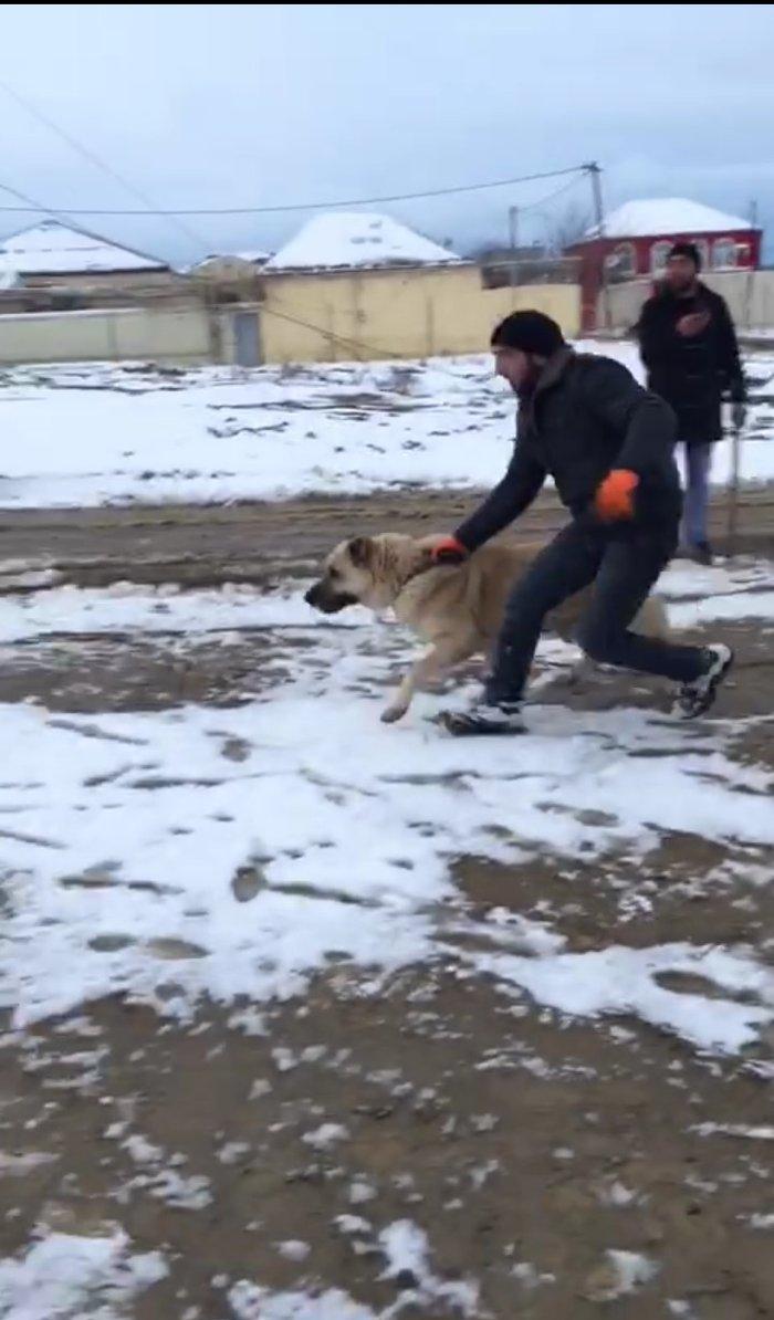 salam.ela meydan itidi adi basardi meydanlarda sozun demis itdi 5 yasi