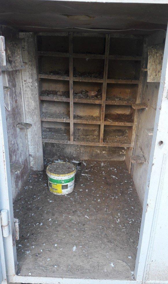 Tecili satilir real aliciya endirim var fikri ciddi wexler narahat ets