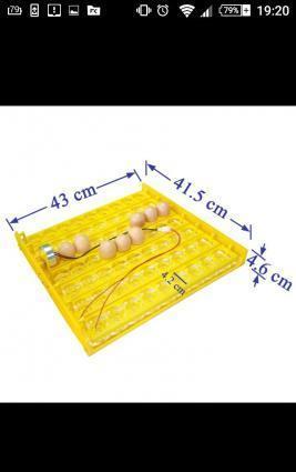 inkubator ucun 63 yumurta ceviren lotok satilir. 220 voltla isleyir.