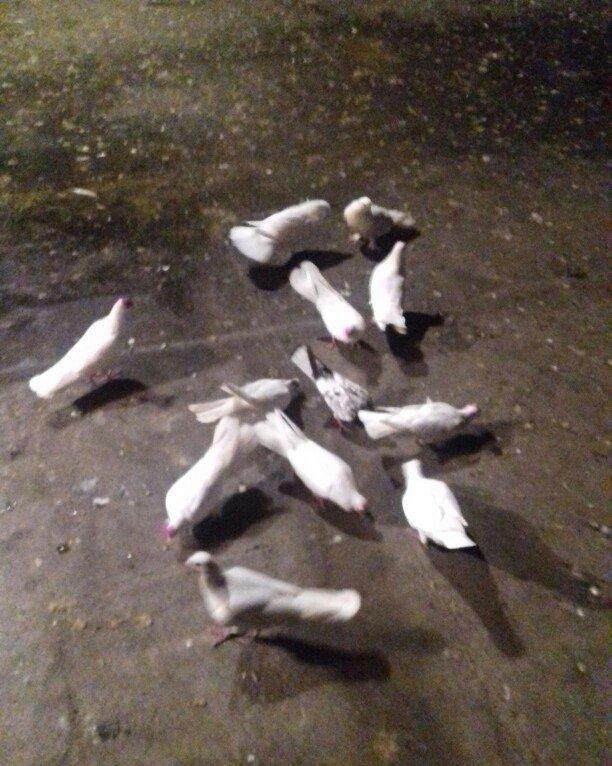 16 17 18 tukler real alici narahat elesi konturu olmaya yazmasin ancaq