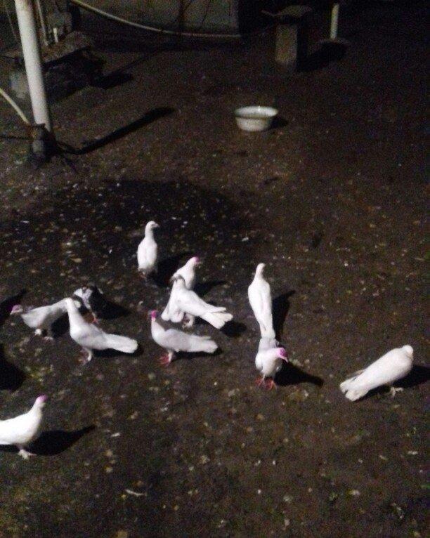 16 17 18 tukler real alici narahat elesi konturu olmaya yazmasin ancaq