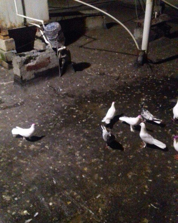 16 17 18 tukler real alici narahat elesi konturu olmaya yazmasin ancaq