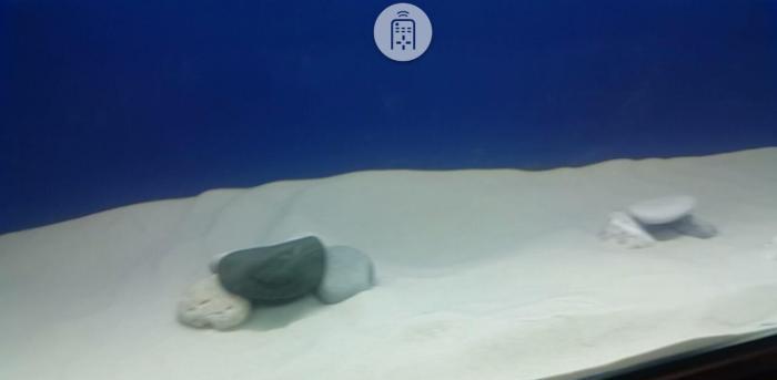 Rusiya istehsalı Akvarium üçün xırda fraksiyalı ağ qum (qrunt). 600 de