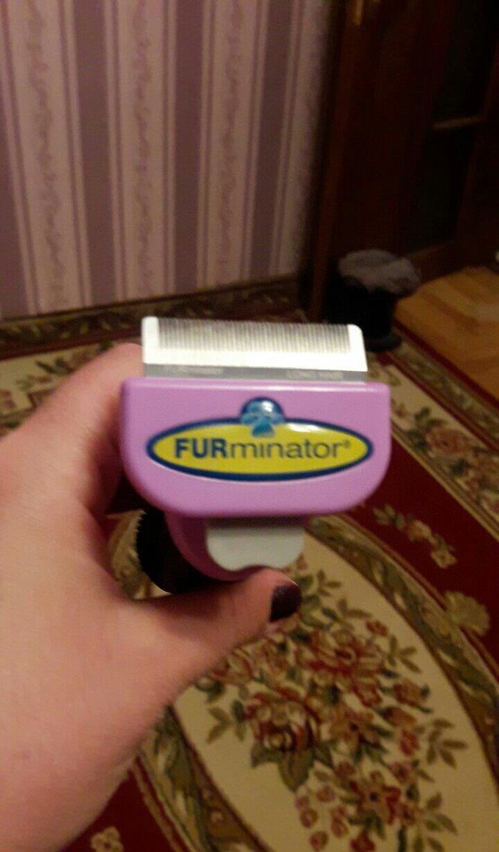 фурминатор для кошек и собак снимает ненужные волосы цена 30 манат