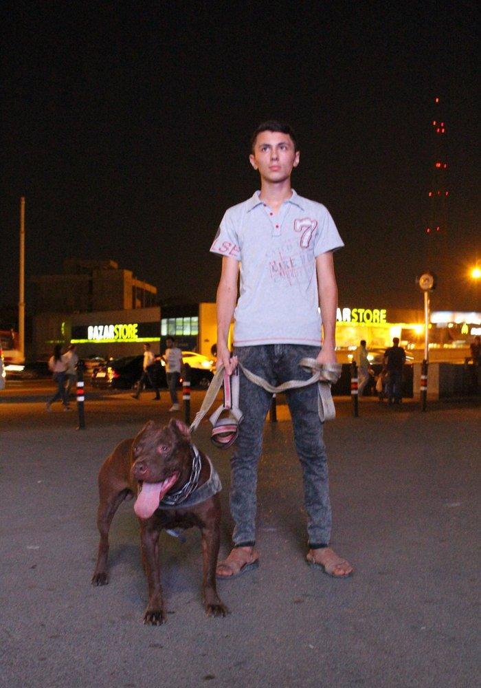 salam.temiz pitbull balalri satilir 37 gunluk.qurd dermanlari verilib