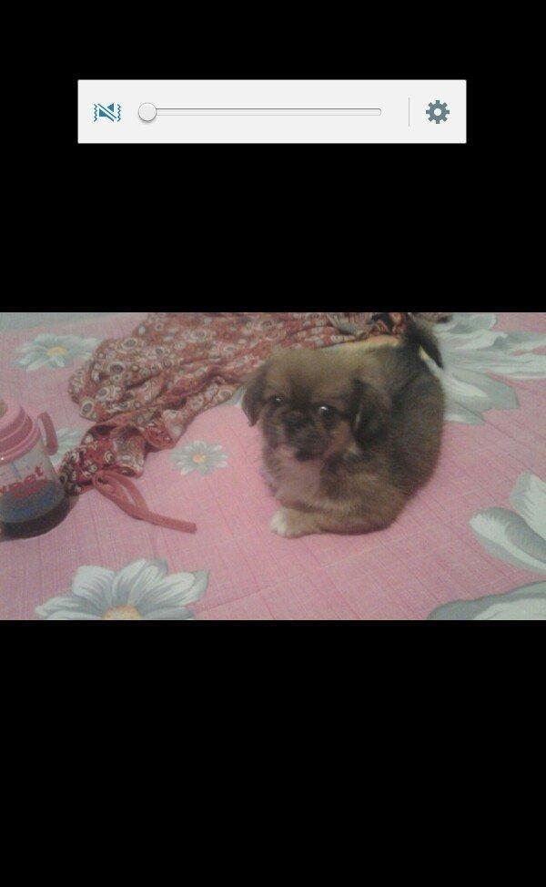 pikines 5 ayliq qizdi iynalar vurulup 170 m cidti wahslara zank vursun