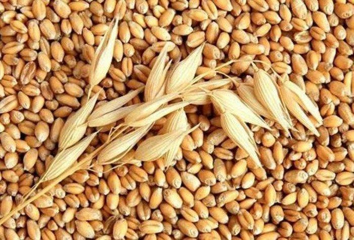 Topdan yem alırıq
sumqayıtda yeni açılacaq yem dükanına topdan yem tə