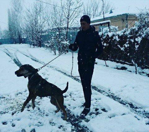 diwidi anasi azerbaycan temiz qurtpasar sortudu atasi daqsdan cenpiyon