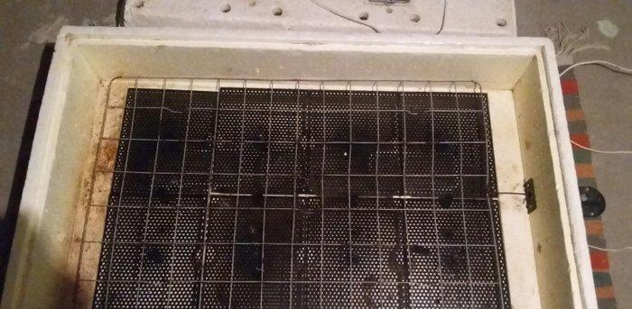 Inkubator satilir! 98 eded toyuq yumurtasi tutur, 50eded de qaz yumurt