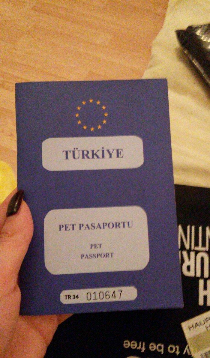 Tecili! Pameranski Spis butun senedleri ile esyalari ile birge 800 man