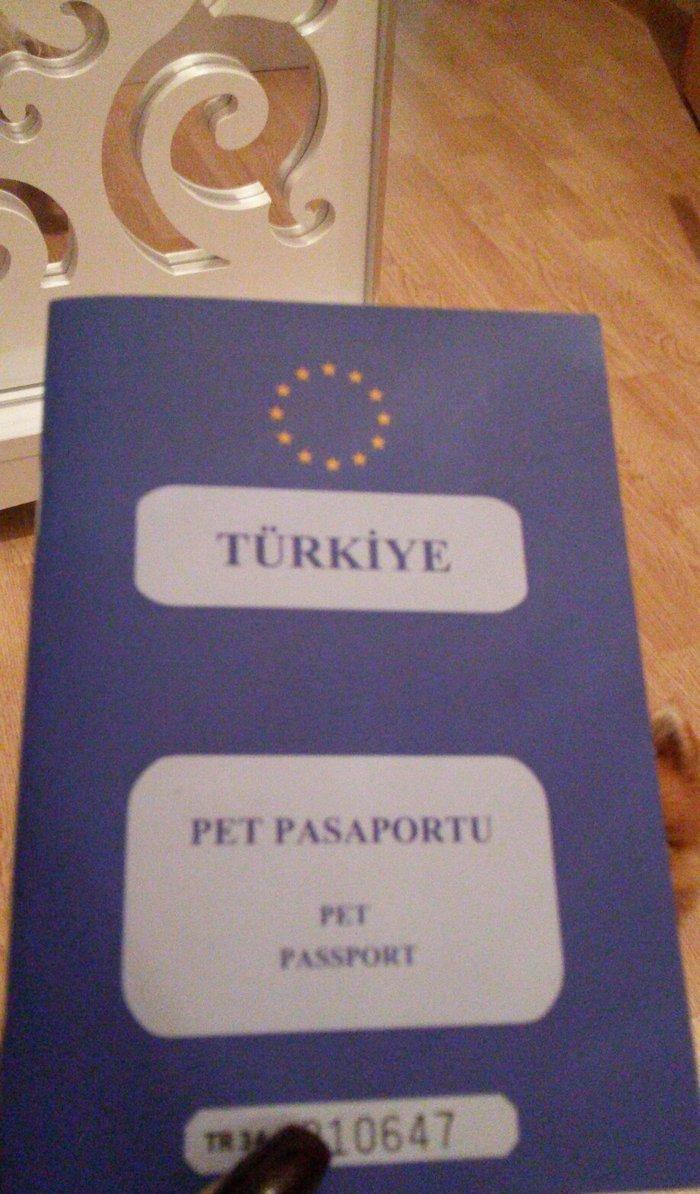 Tecili! Pameranski Spis butun senedleri ile esyalari ile birge 800 man