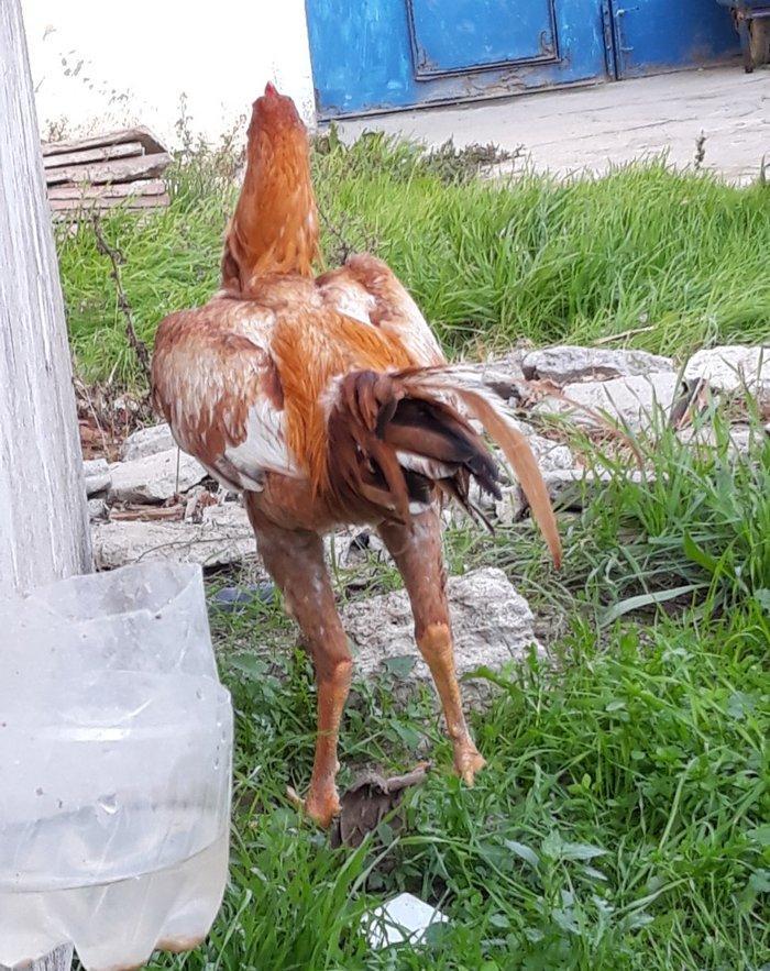 8 ayi tamam olmuyub hele atasi filippindi anasi turkdu atasi meydan xo