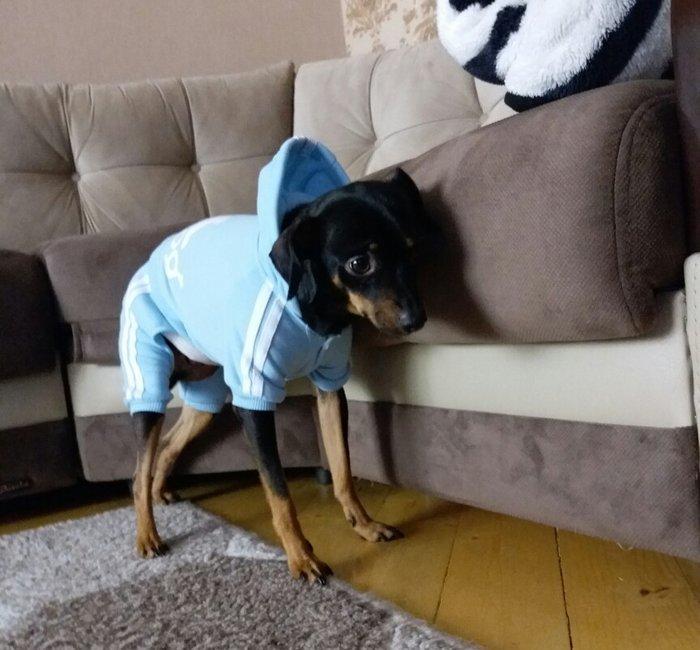 L razmer yenidirler cekmek ucun geydirdim.eynine olmur hec biri.25 ma