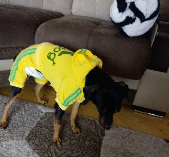 L razmer yenidirler cekmek ucun geydirdim.eynine olmur hec biri.25 ma