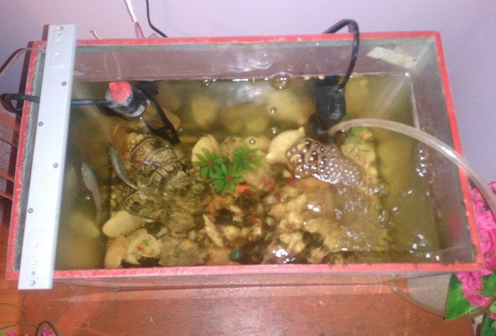 Akvarium satilir icinde de 4 dene baliq var sekilde gorduyunuz kimi