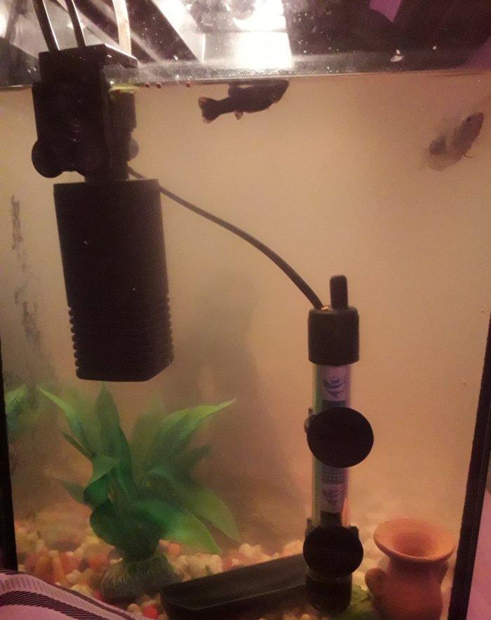 50 litirlik akvarium teze alinib 250 manat 150 e satiram herseyi icind