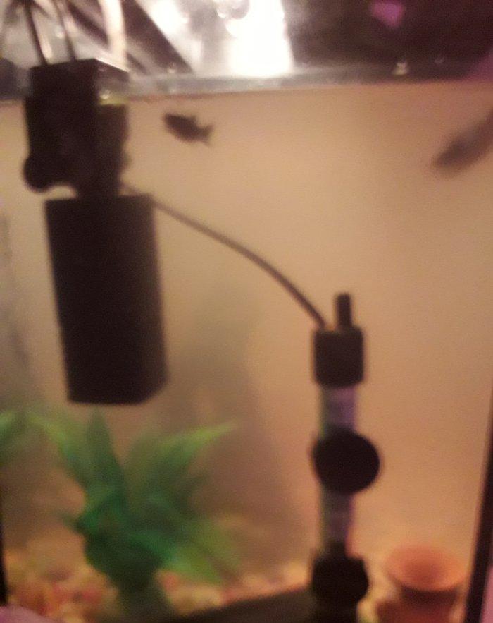 50 litirlik akvarium teze alinib 250 manat 150 e satiram herseyi icind