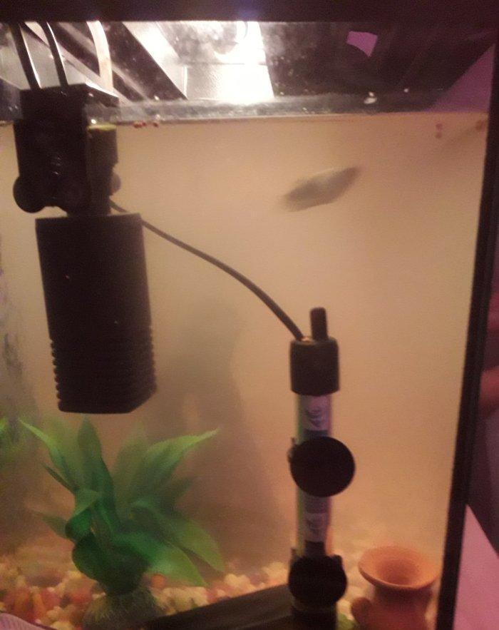 50 litirlik akvarium teze alinib 250 manat 150 e satiram herseyi icind