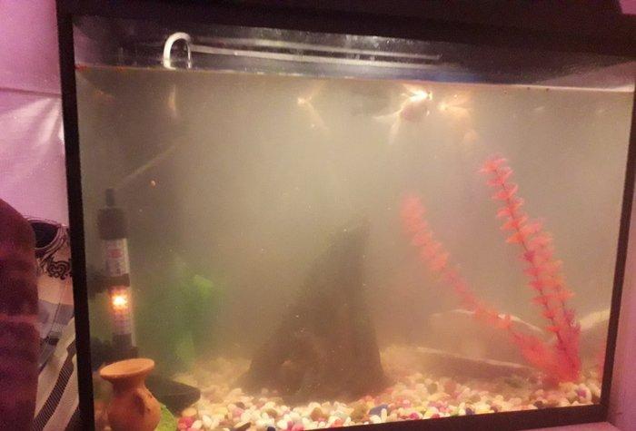 50 litirlik akvarium teze alinib 250 manat 150 e satiram herseyi icind