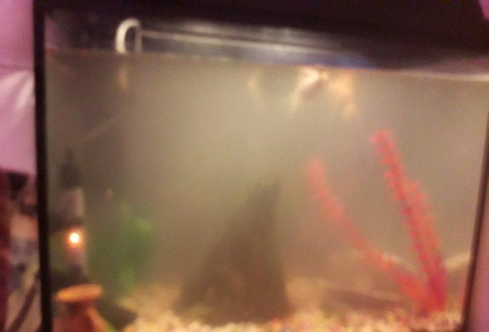 50 litirlik akvarium teze alinib 250 manat 150 e satiram herseyi icind