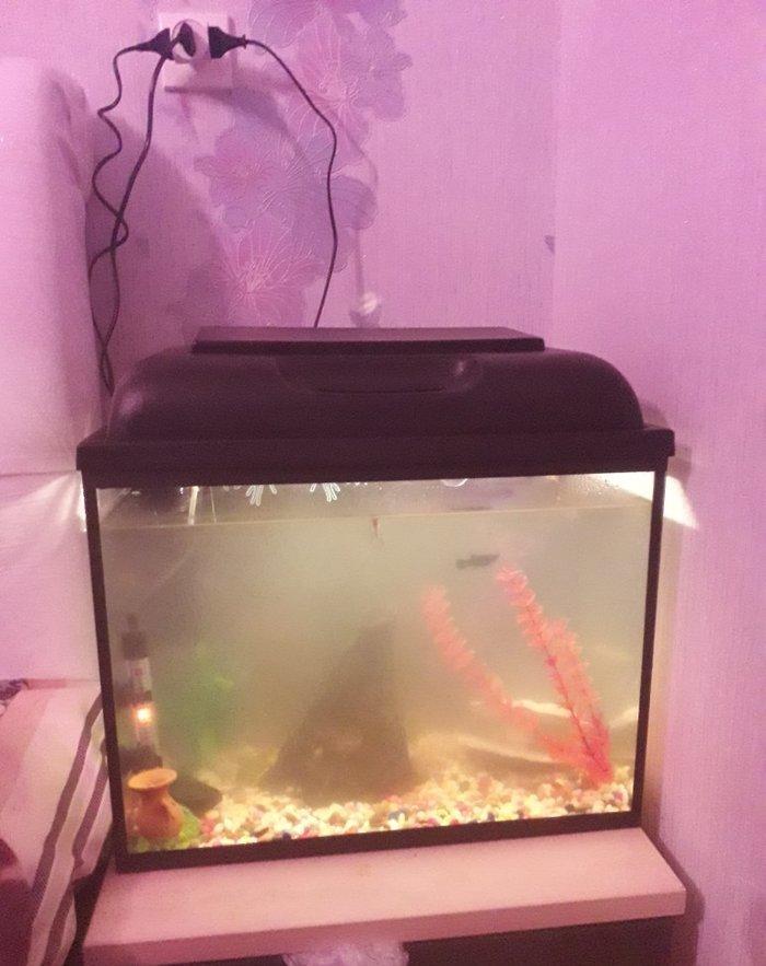 50 litirlik akvarium teze alinib 250 manat 150 e satiram herseyi icind