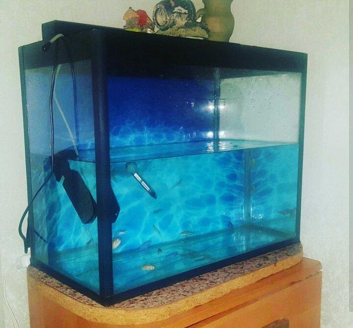 Akvarium her seyi var super 100 litr icinin aksesuarlari 15 baliq var
